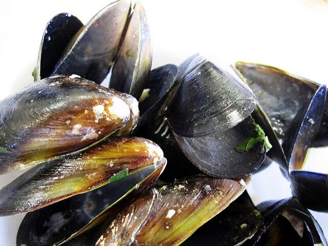 Wow! Look at our Flickr pool's zenobia_joy's mussels!