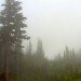Mount_Rainier_Cloudy thumbnail