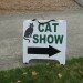 Tukwila Catshow 039 thumbnail