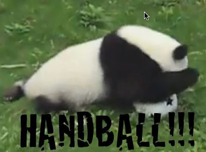 panda-handball