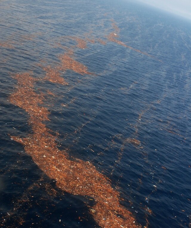 110313-N-SB672-368 PACIFIC OCEAN (March 13, 2011) An aerial view of debris from an 8.9 magnitude earthquake and subsequent tsunami that struck northern Japan. The debris was inspected by a helicopter-based search and rescue team from the aircraft carrier USS Ronald Reagan (CVN 76). Ships and aircraft from the Ronald Reagan Carrier Strike Group are searching for survivors in the coastal waters near Sendai, Japan. (U.S. Navy photo by Mass Communication Specialist 3rd Class Dylan McCord/Released)