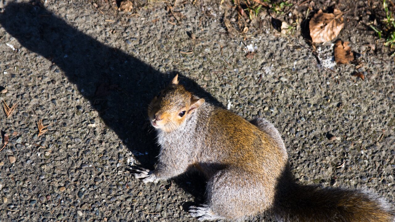 Seeing his shadow (Photo: MvB)