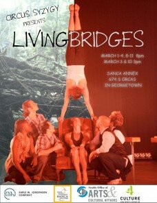 Living Bridges poster