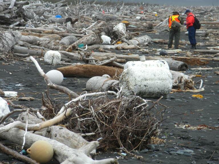 "About 50 continuous miles of Montague Island coast look like this." April 28, 2012 (Photo: Gulf of Alaska Keeper/Chris Pallister)