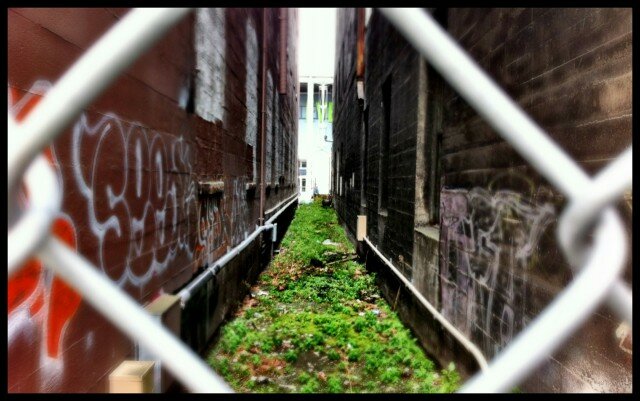 SoDo_Greenspace