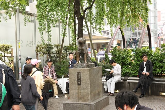 hachiko_640_7254