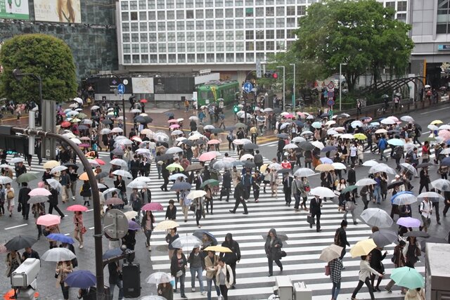 shibuya_640_7244