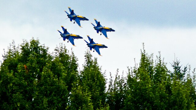 Blue Angels in the tree tops (Photo: MvB)