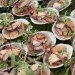 bounty-clams-640-4050 thumbnail