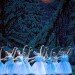 Nutcracker-6 thumbnail