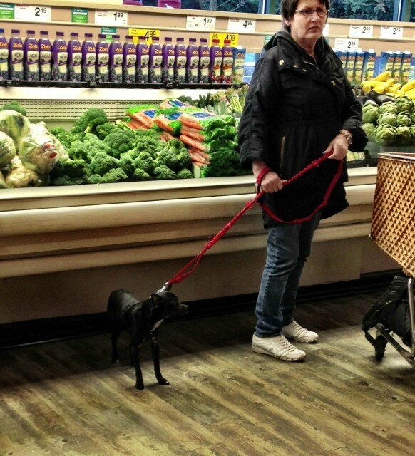 This is the kind of person who brings their dog into a grocery store. GET ON IT, PORTLANDIA.